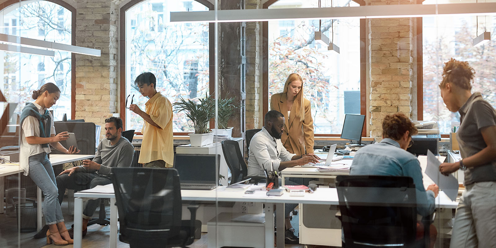 Walkme basic plan price picture