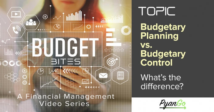 Budget with woman using a smartphone